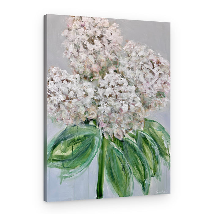 Painterly White Hydrangeas – Canvas Print