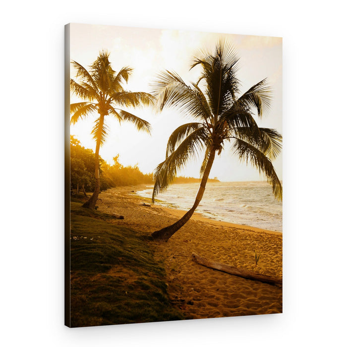 Golden Beach Sunset – Canvas Print