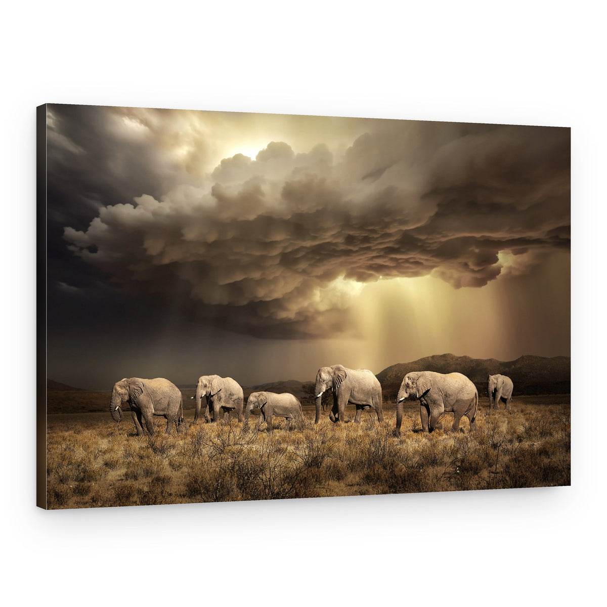 Dramatic Elephant Sky – Canvas Print