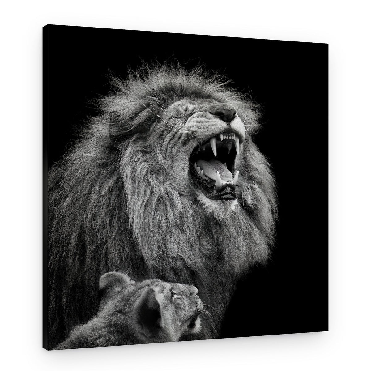 Roaring Lion King – Canvas Print