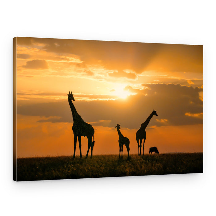 Safari Sunset Giraffes – Canvas Print