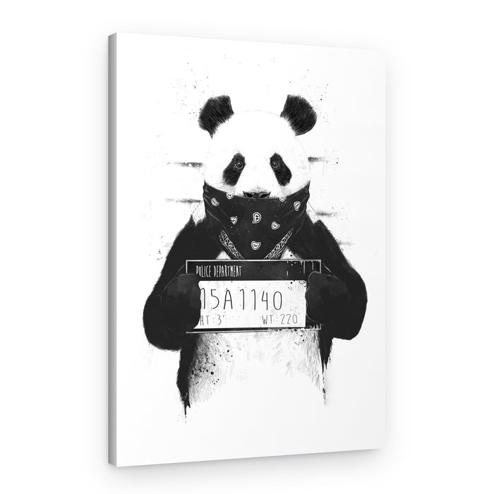 Gangster Panda Mugshot – Canvas Print