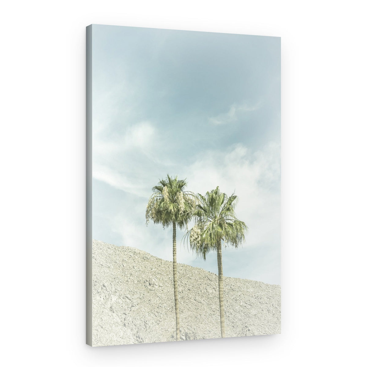Serene Desert Palms – Canvas Print