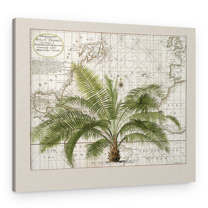 Vintage Caribbean Palm Map – Canvas Print