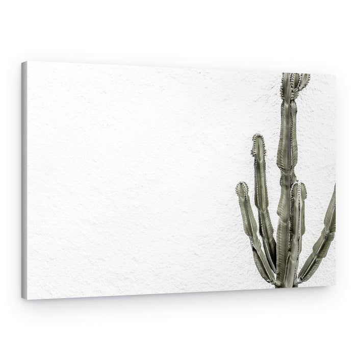 Minimal Desert Cactus – Canvas Print