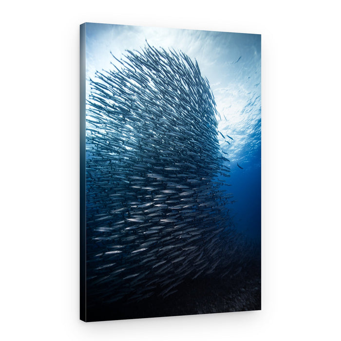 Ocean Fish Swarm – Canvas Print