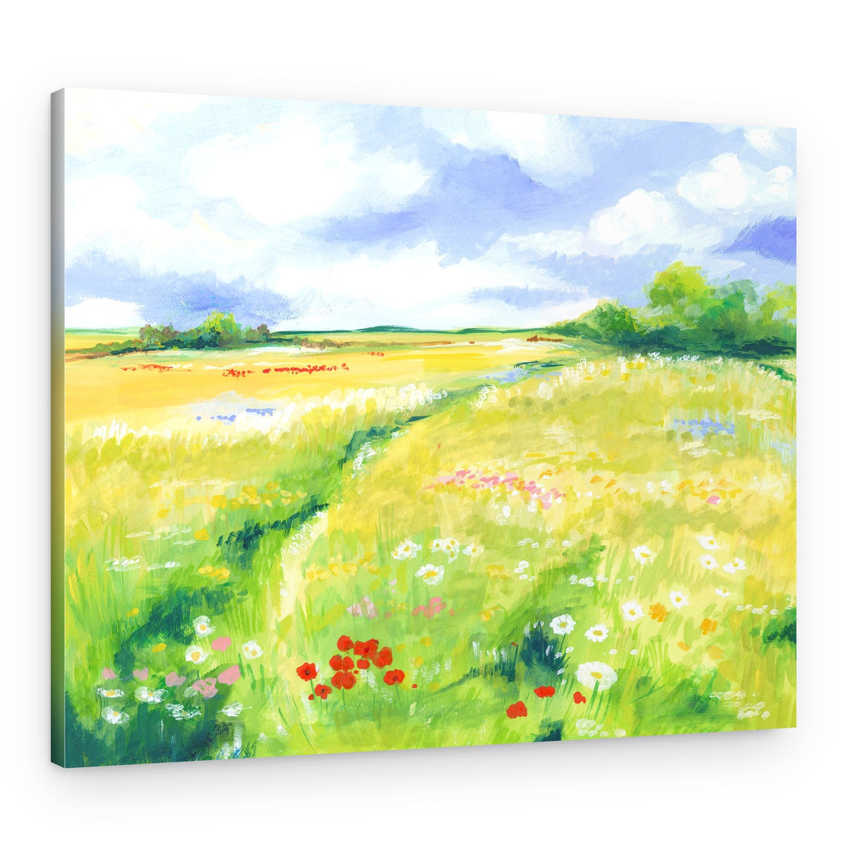 Wildflower Meadow – Canvas Print