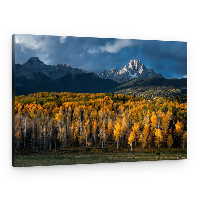 Golden Aspen Mountains – Canvas Print