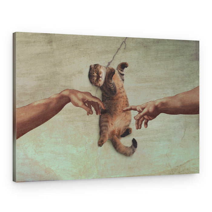 Cat Creation Parody – Canvas Print
