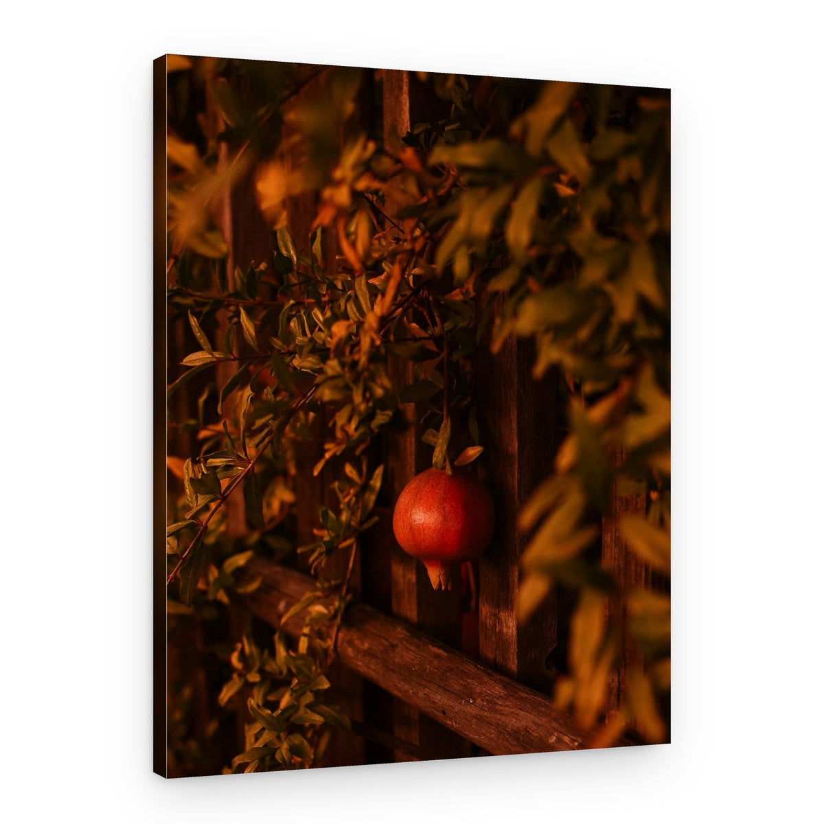 Autumn Pomegranate – Canvas Print