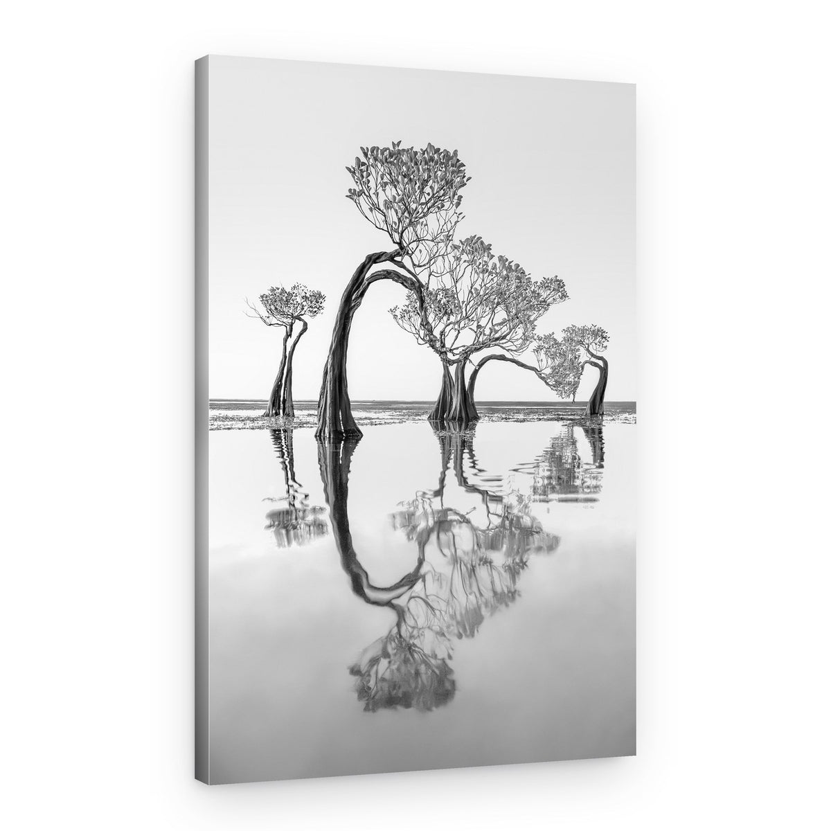 Monochrome Tree Reflections – Canvas Print