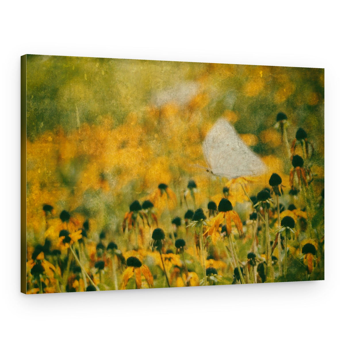 Dreamy Butterfly Meadow – Canvas Print