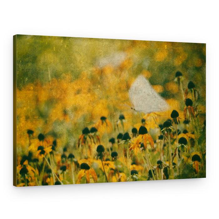 Dreamy Butterfly Meadow – Canvas Print