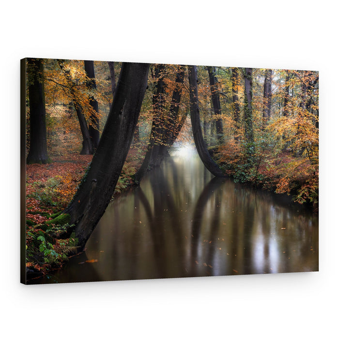 Enchanted Forest River – Canvas Print