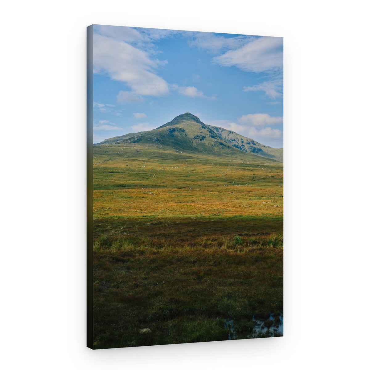 Highland Mountain View – Canvas Print