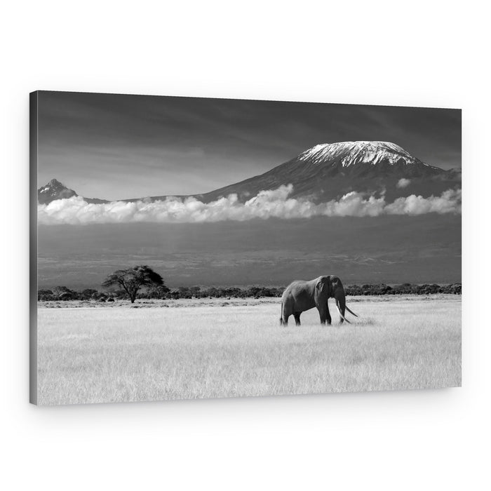 Majestic Kilimanjaro Elephant – Canvas Print