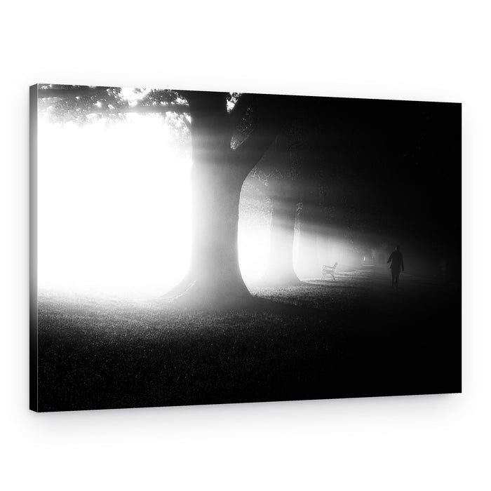 Misty Morning Path Light – Canvas Print
