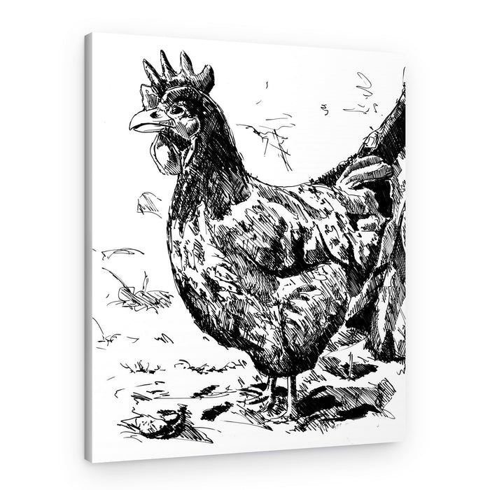 Rustic Hen Illustration – Canvas Print