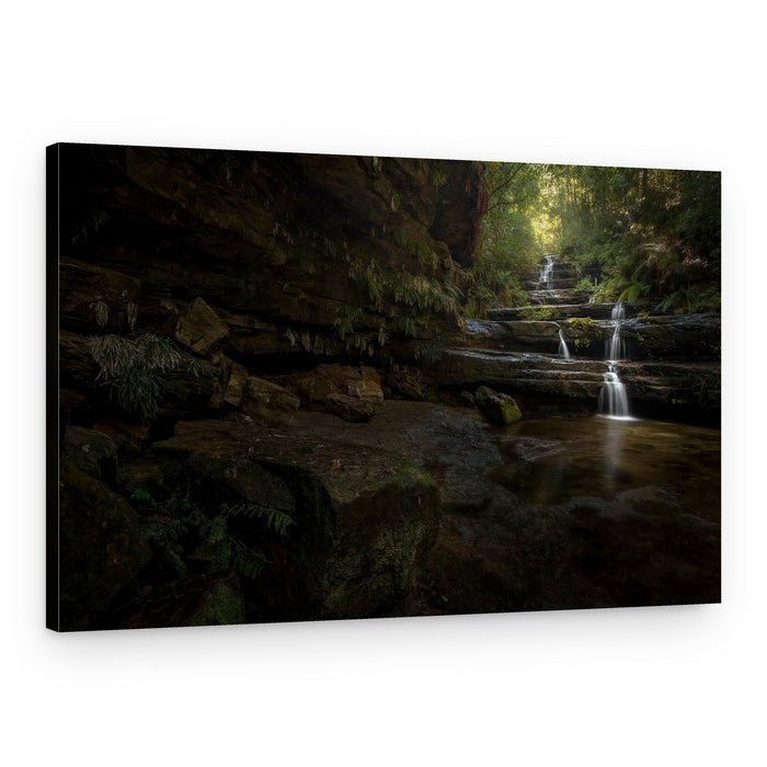 Forest Waterfall Steps – Canvas Print
