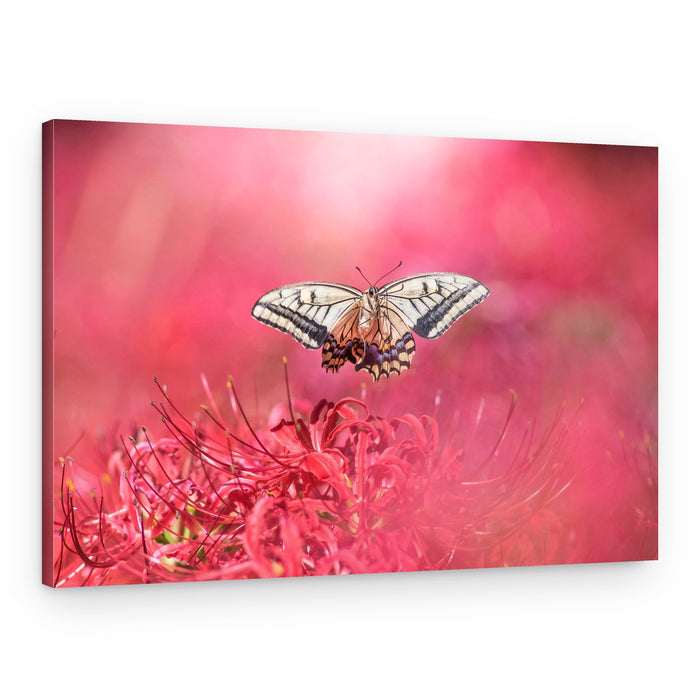 Ethereal Butterfly Bloom – Canvas Print