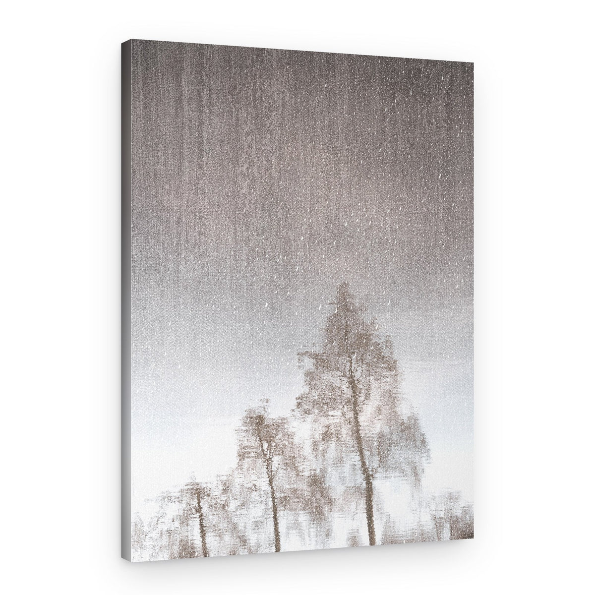 Muted Tree Reflection – Canvas Print