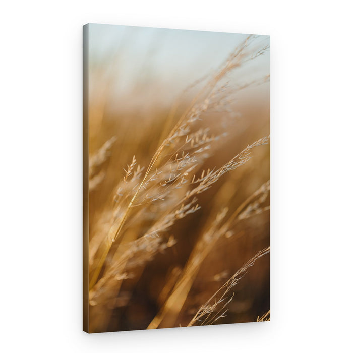 Golden Fields Whisper – Canvas Print