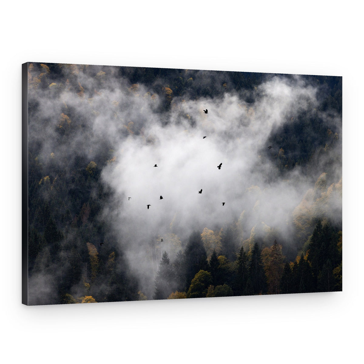 Foggy Woods 8 – Canvas Print