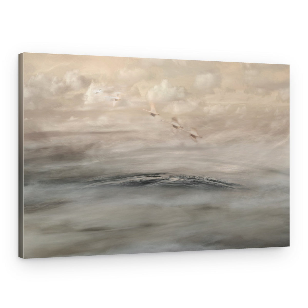 Silver Haze – Canvas Print