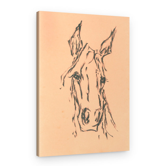 Elegant Horse Head Sketch – Canvas Print