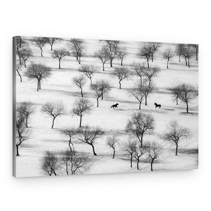 Winter Horses in Snow – Canvas Print