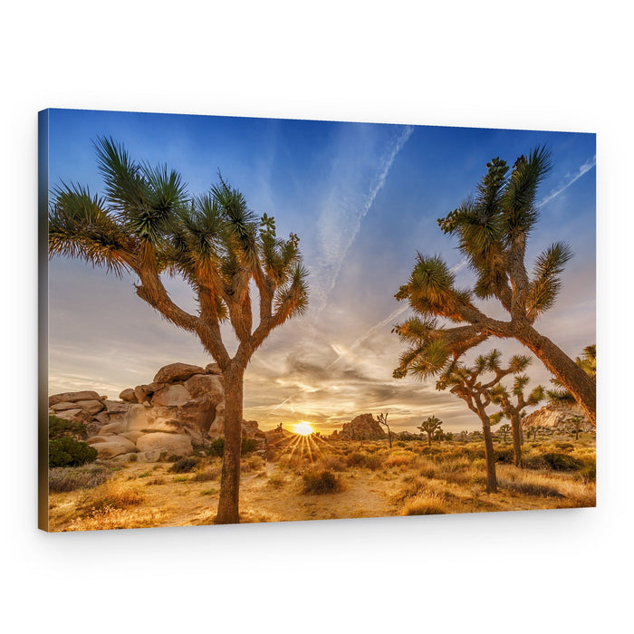 Joshua Tree Sunset Glow – Canvas Print