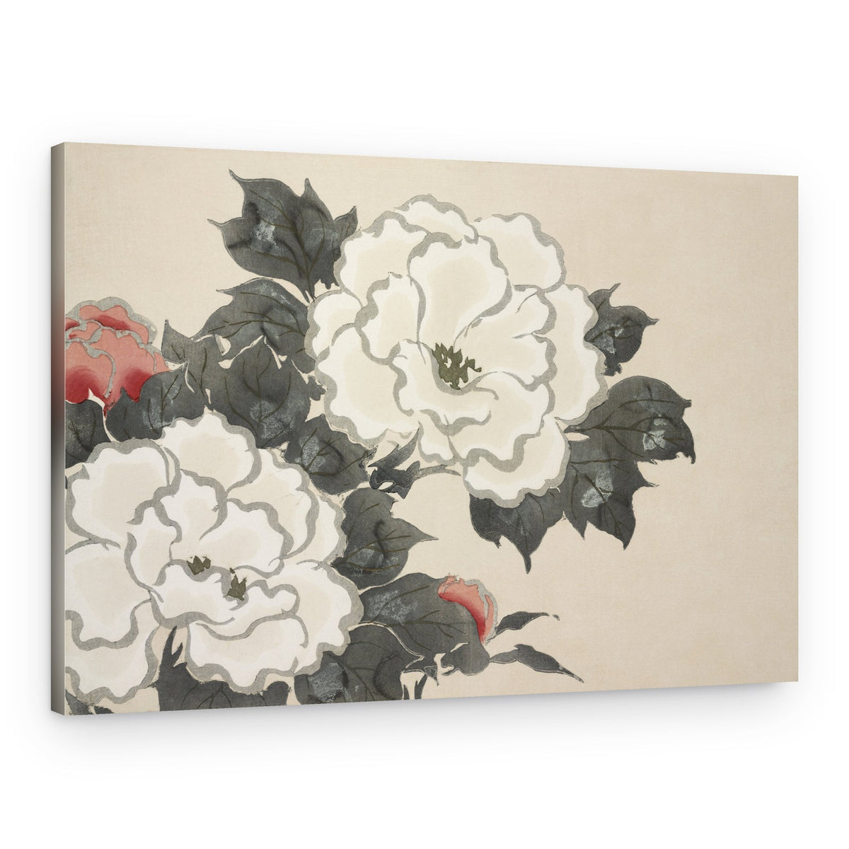 Flowers From Momoyogusa – Canvas Print
