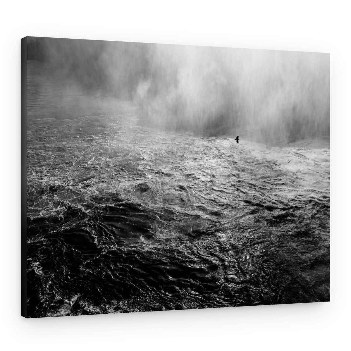 Turbulent Waters Soaring Bird – Canvas Print