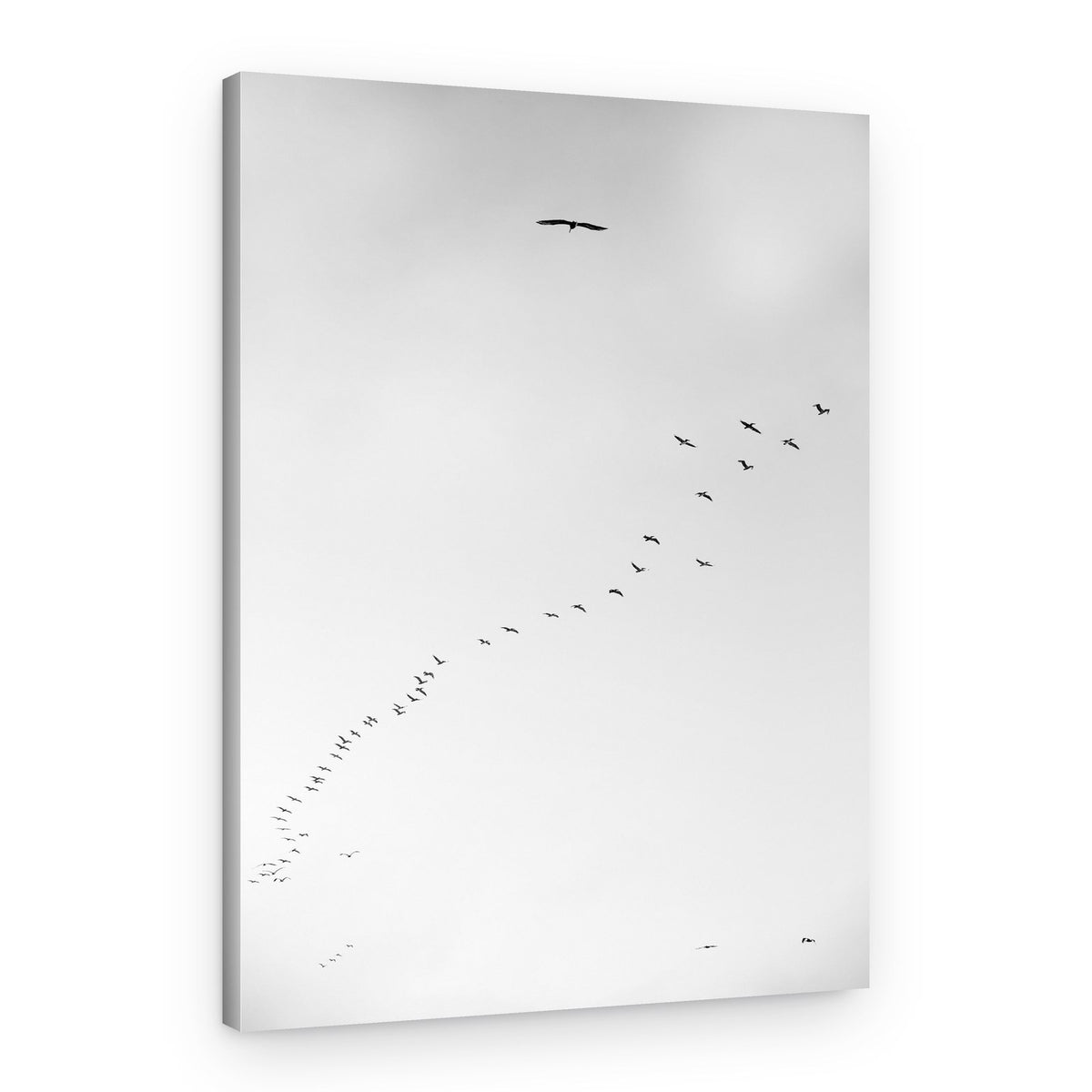 Skyward Journey – Canvas Print