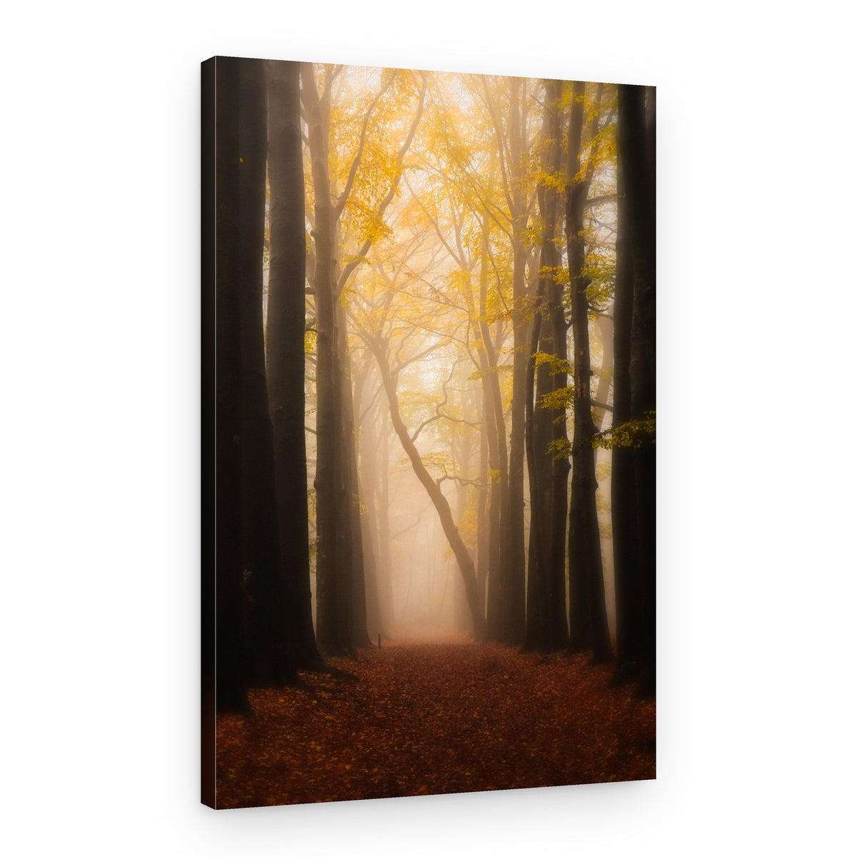 Misty Autumn Path – Canvas Print