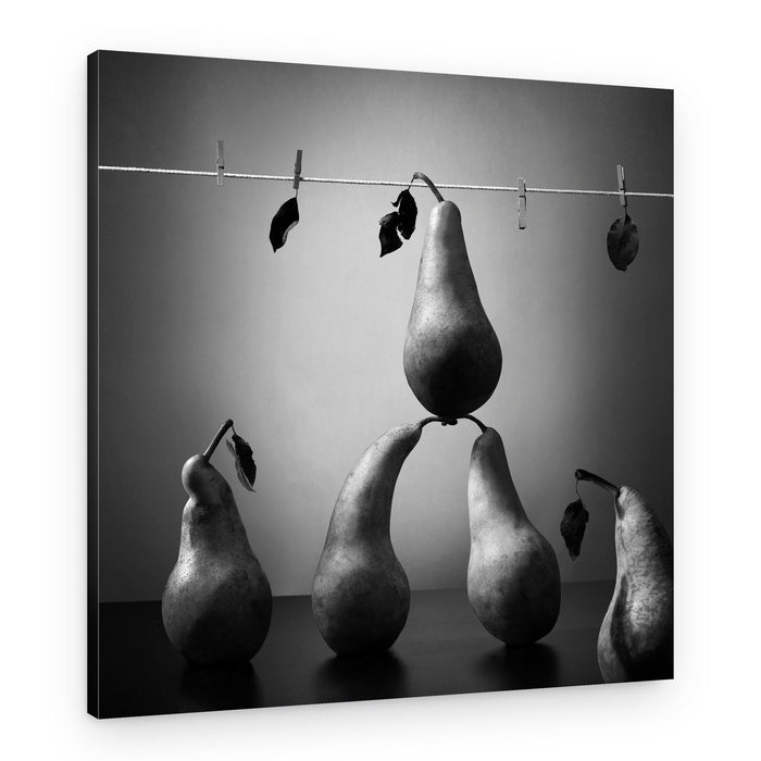 Pears in Balance – Canvas Print