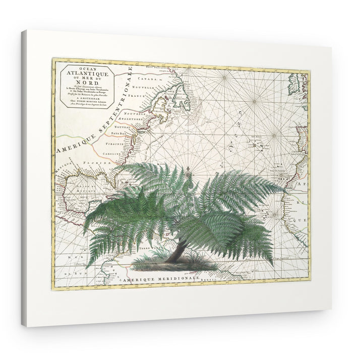 Vintage Map Fern Botanical – Canvas Print
