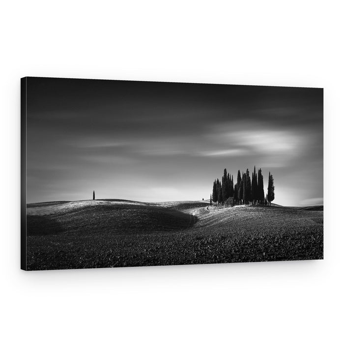 Tuscan Cypress Landscape – Canvas Print