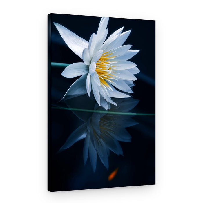 Serene Lotus Reflection – Canvas Print