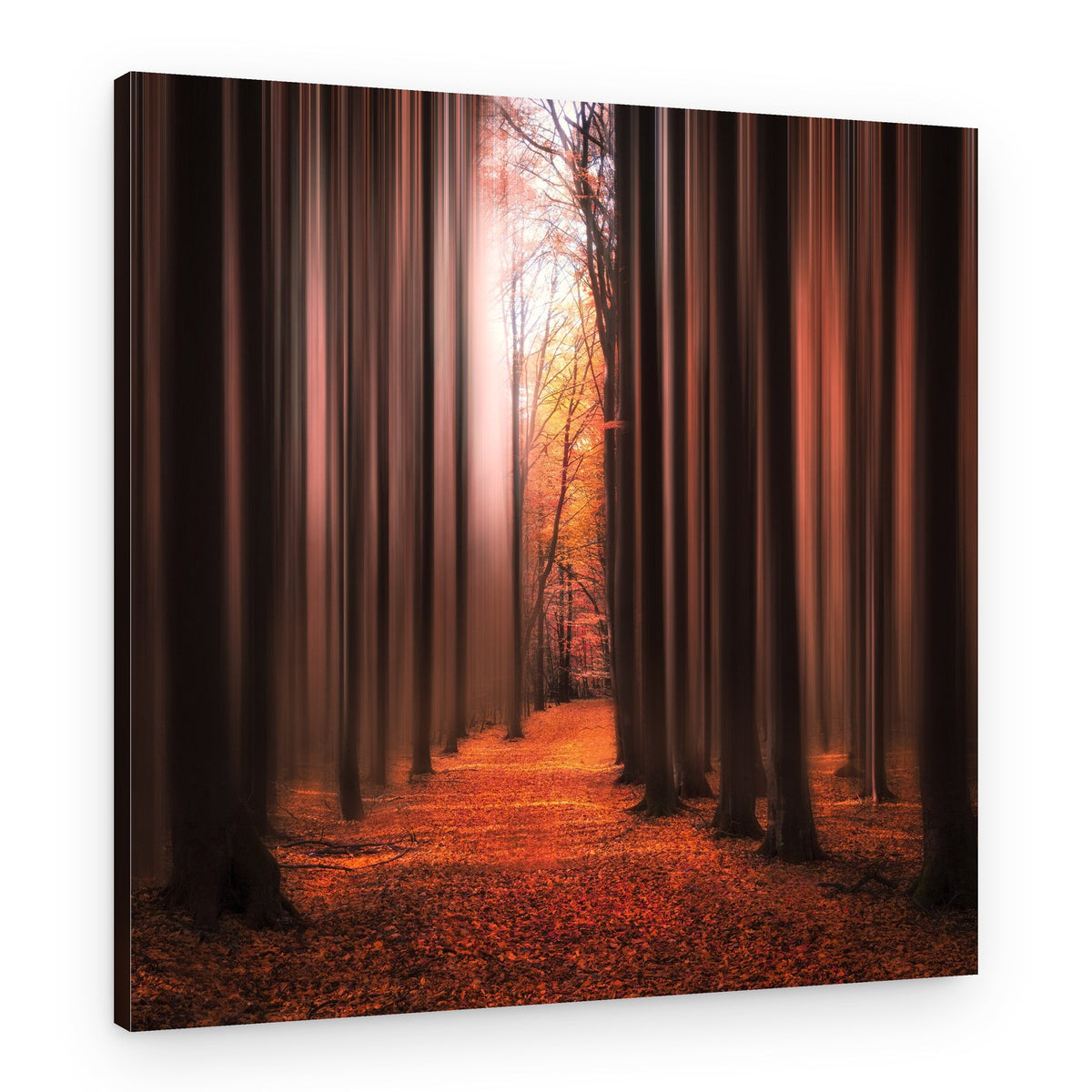 Autumn Light Path – Canvas Print