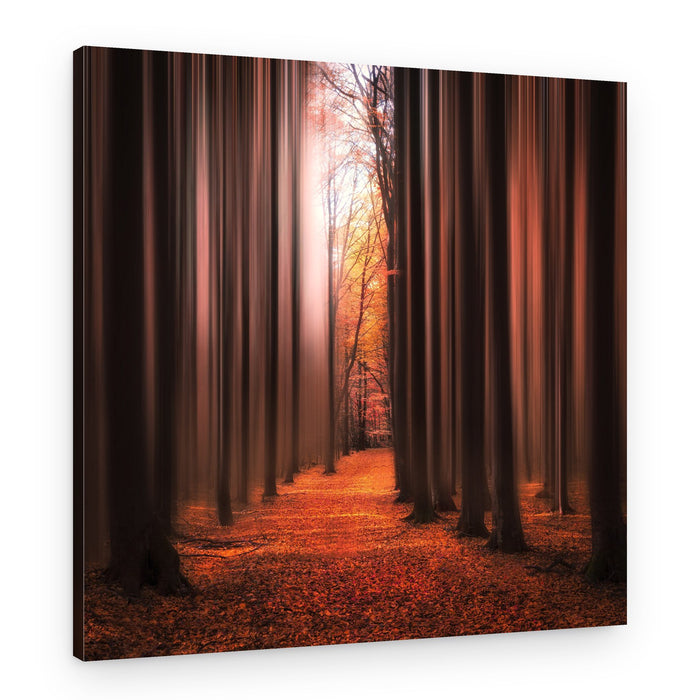 Autumn Light Path – Canvas Print