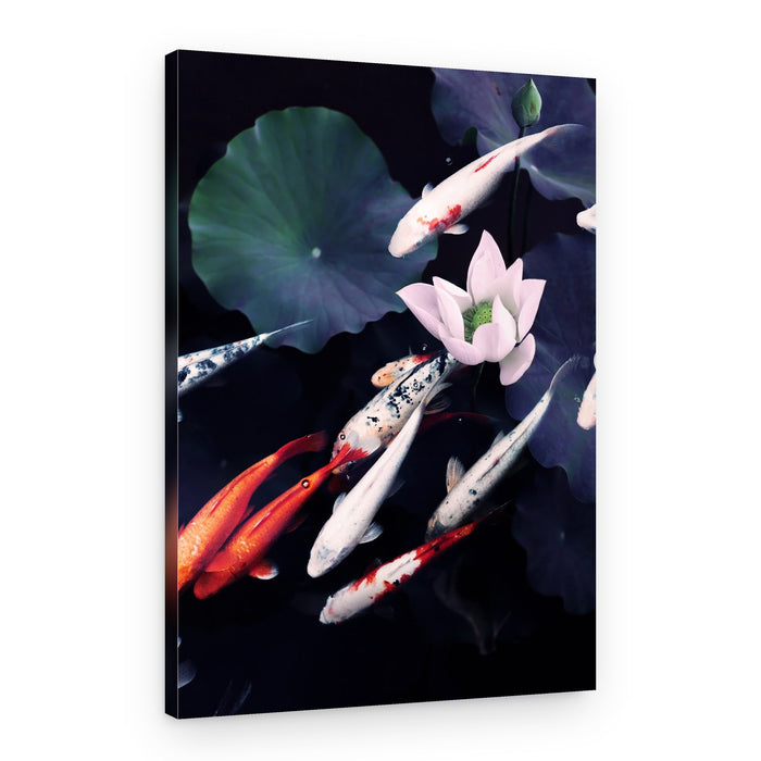 Serene Koi Lotus – Canvas Print