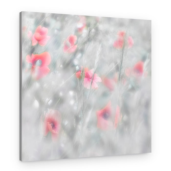 Dreamy Pink Poppies – Canvas Print