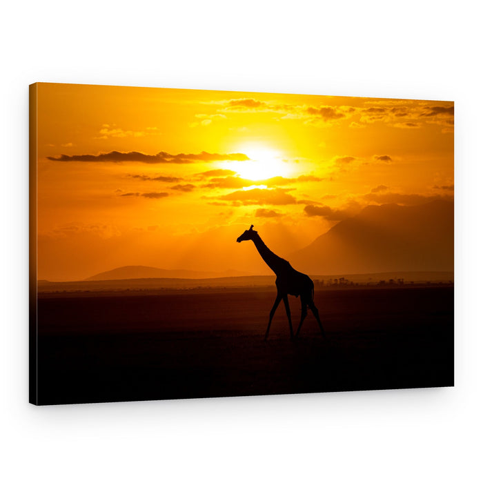 African Sunset Giraffe – Canvas Print
