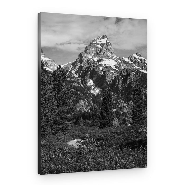 Rugged Mountain Path – Canvas Print