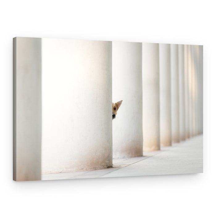 Peeking Puppy – Canvas Print