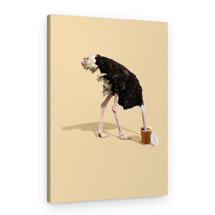 Ostrich Coffee Break – Canvas Print