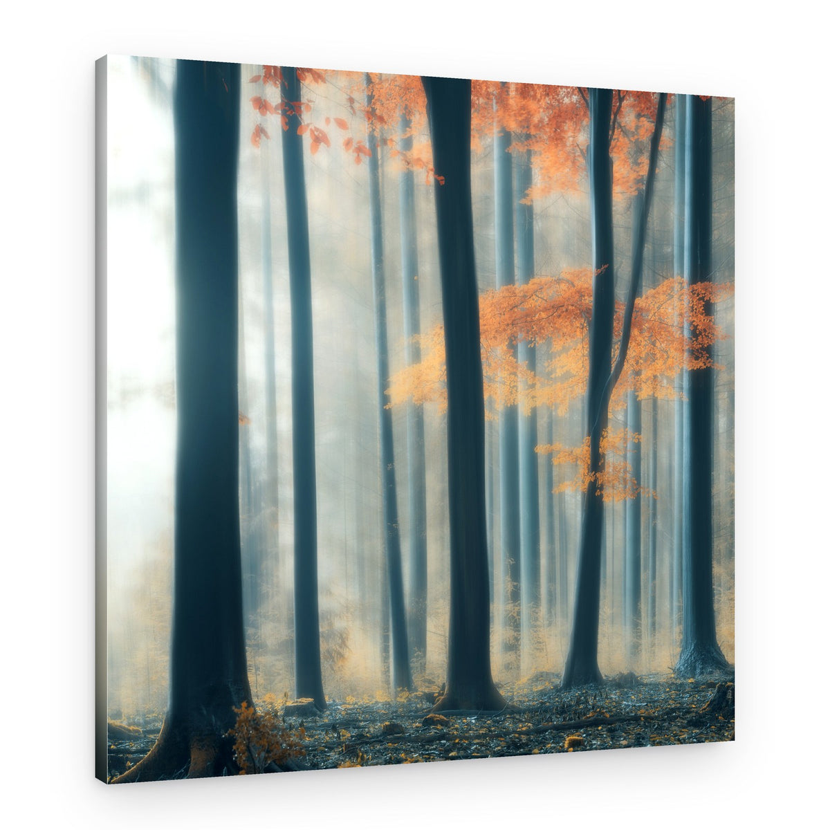 Golden Forest Mist – Canvas Print