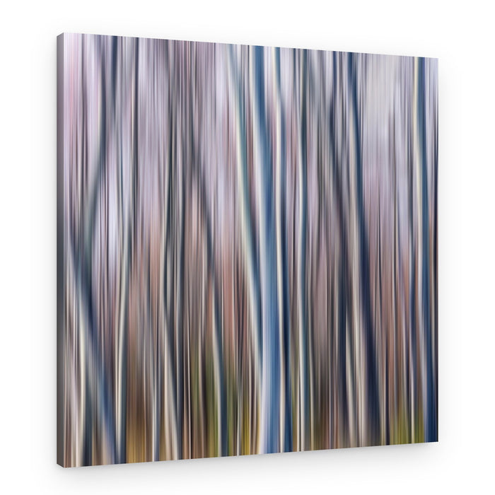 Abstract Birch Forest – Canvas Print
