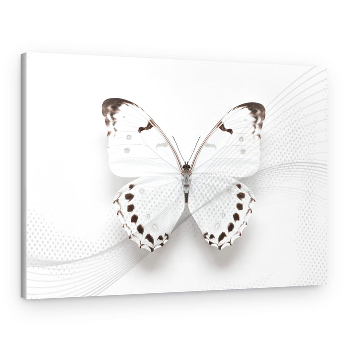 Elegant White Butterfly – Canvas Print